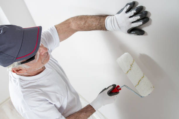 Reliable South Laurel, MD Mold Removal Solutions