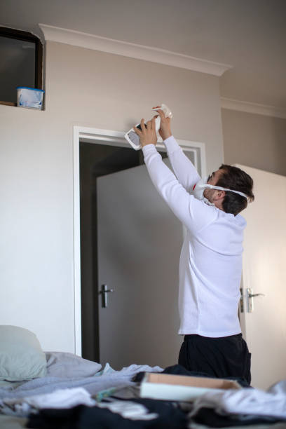 Best Mold Odor Removal Services  in South Laurel, MD