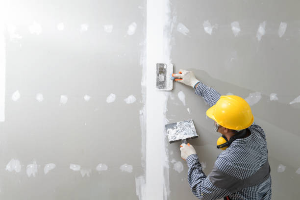 Best Mold-Related Health Consultation  in South Laurel, MD
