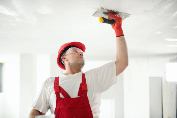 Best Mold Remediation for Healthcare Facilities  in South Laurel, MD