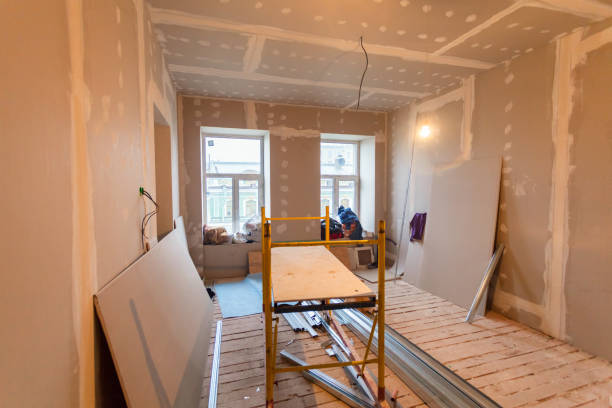 Best Commercial Mold Inspection  in South Laurel, MD